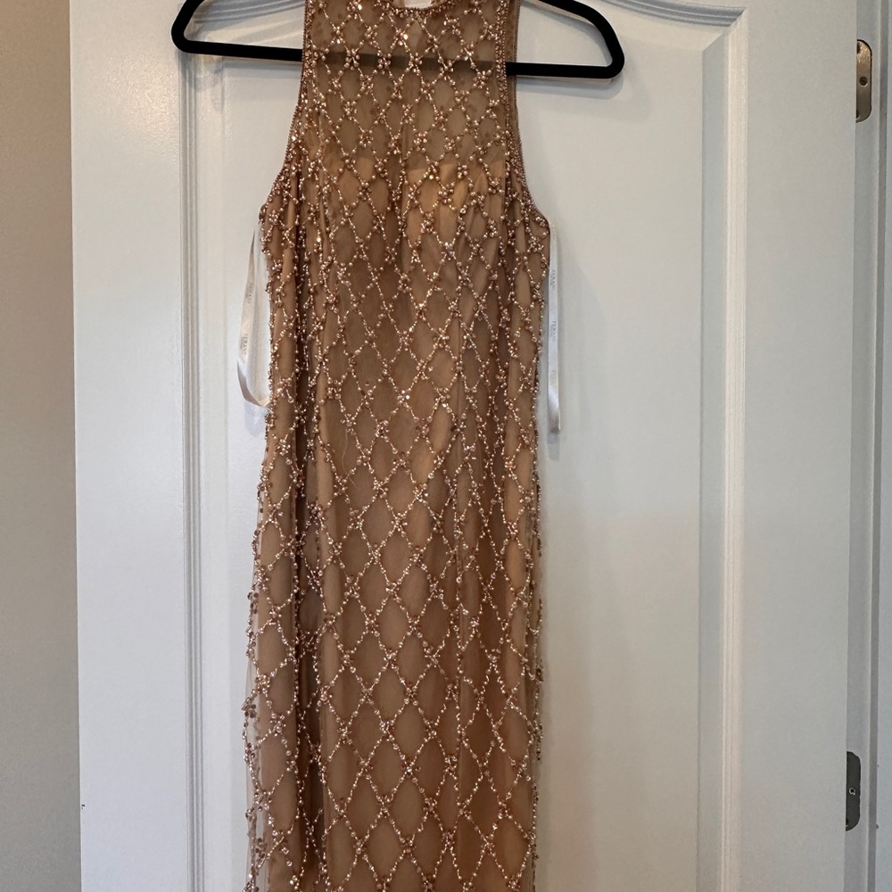 Terani Couture Beige Beaded Backless Gown